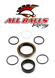 All Balls Counter Shaft Crank Shaft Bearing Kit